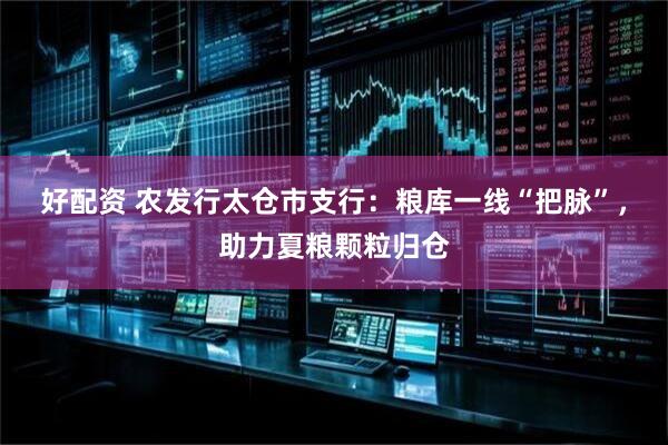好配资 农发行太仓市支行：粮库一线“把脉”，助力夏粮颗粒归仓