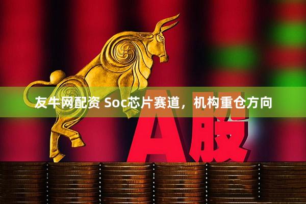 友牛网配资 Soc芯片赛道，机构重仓方向