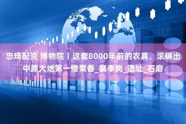 忠琦配资 博物院丨这套8000年前的农具，滚碾出中原大地第一缕粟香_裴李岗_遗址_石磨