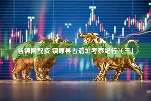 谷锦网配资 镇原县古遗址考察纪行（三）