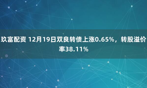 玖富配资 12月19日双良转债上涨0.65%，转股溢价率38.11%